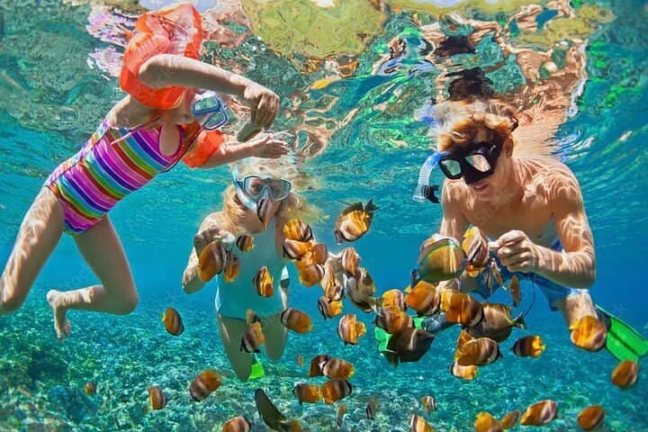 Snorkel: Starfish Garden & Sea Turtles