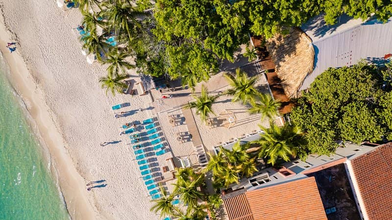 San Simon Beach Escape + Monkeys & Sloths